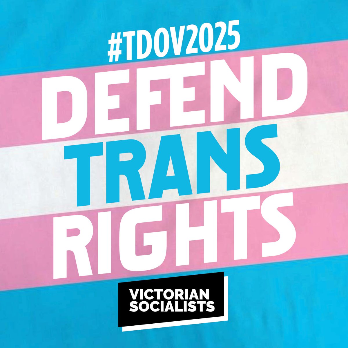 Today is Trans Day of Visibility. Victorian Socialists stands with trans, non-binary and gender non-conforming folks. We oppose discrimination in all its forms. We support fully funded, gender-affirming healthcare that is accessible to all. Trans rights are human rights! ✊🏳️‍⚧️