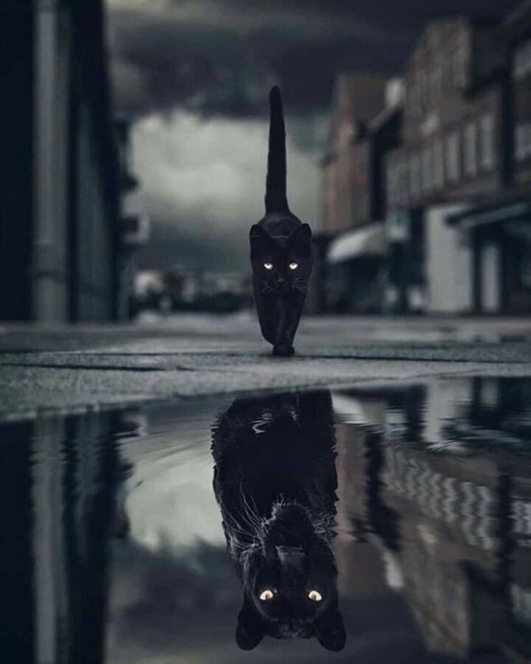 "No es la edad, es la mentalidad". 🧠