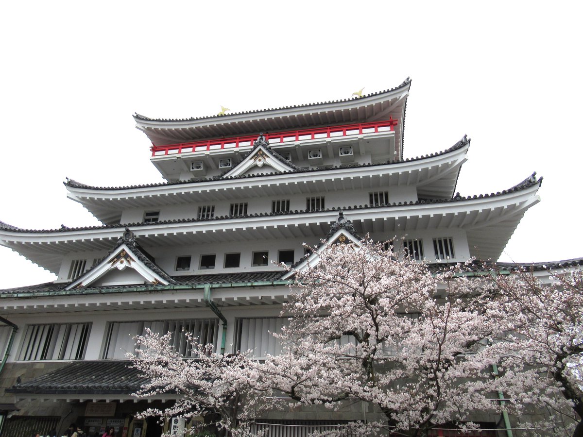 AtamiCastle's tweet image. 熱海城さくら開花状況です。本日お城の前は4分咲きから5分咲き昨日と変わりません。庭園は手前3分咲き奥は1分咲きです。 夜桜営業は庭園の桜がなかなか咲かない為今週後半あたりからになりそうです。#熱海城 #熱海 #開花 #桜 #さくら #夜桜 #ソメイヨシノ #Atami #sakura #Atamicastle