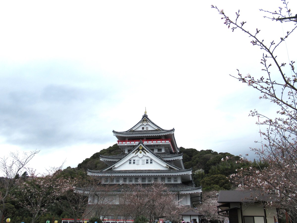 AtamiCastle's tweet image. 熱海城さくら開花状況です。本日お城の前は4分咲きから5分咲き昨日と変わりません。庭園は手前3分咲き奥は1分咲きです。 夜桜営業は庭園の桜がなかなか咲かない為今週後半あたりからになりそうです。#熱海城 #熱海 #開花 #桜 #さくら #夜桜 #ソメイヨシノ #Atami #sakura #Atamicastle