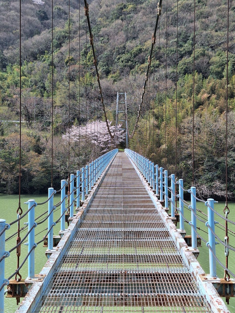 Do I forget I have more than one social I could/should post to and do I tent to post to only one  and then swich to which it is that ill be posting on..

Yes, yes, I do..

Here, have a random  bridge somewhere in Japan because I 100% could not point on a map where I am currently