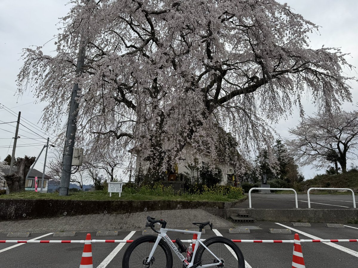 竹田道の駅にて