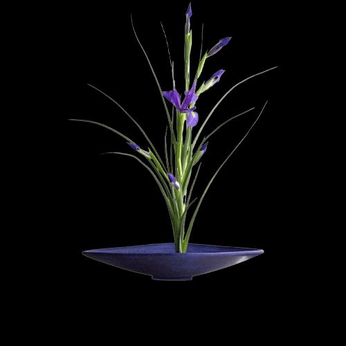 El arreglo floral Tokio desfía la gravedad con una elegancia sencilla, pero impresionante.

El ensamble de Iris emerge en un platón de cerámica prémium.

Medidas: 20cm de altura por 20cms de ancho y 25cm de profundidad
magenta.style/arreglos-flora…