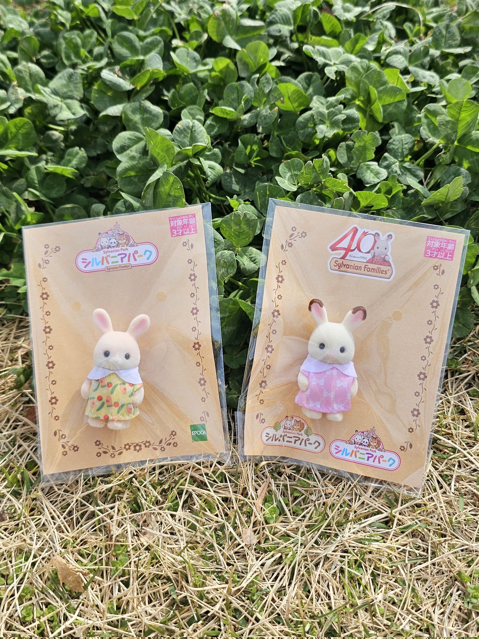 公式】ハーベストの丘 | ショコラウサギの赤ちゃんと一緒に観覧