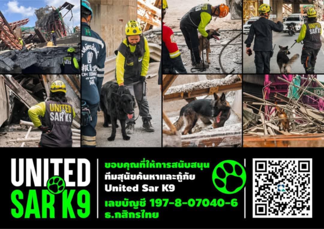 ชลน แมวส้มแท้ๆ 🐱 tweet media