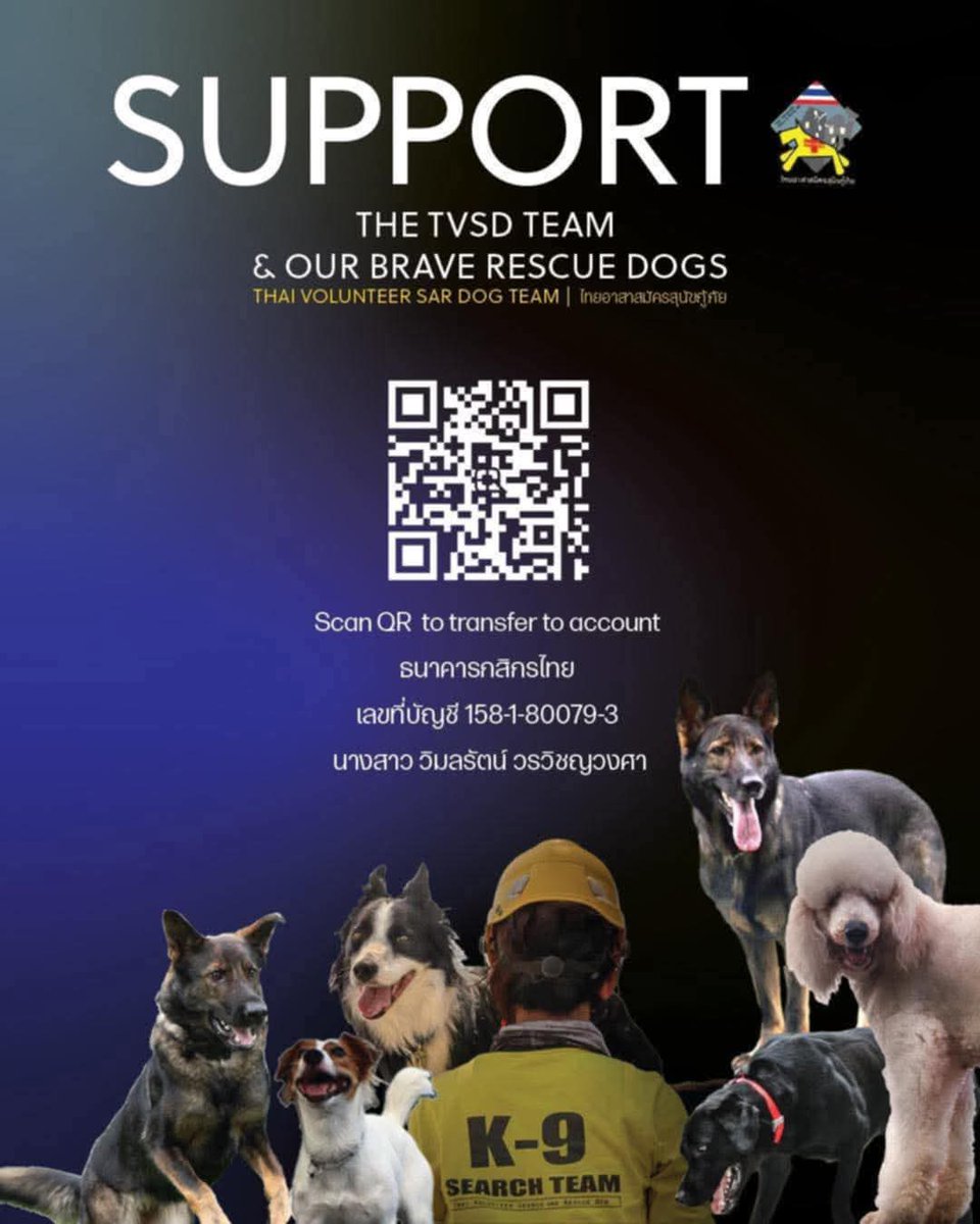 ชลน แมวส้มแท้ๆ 🐱 tweet media