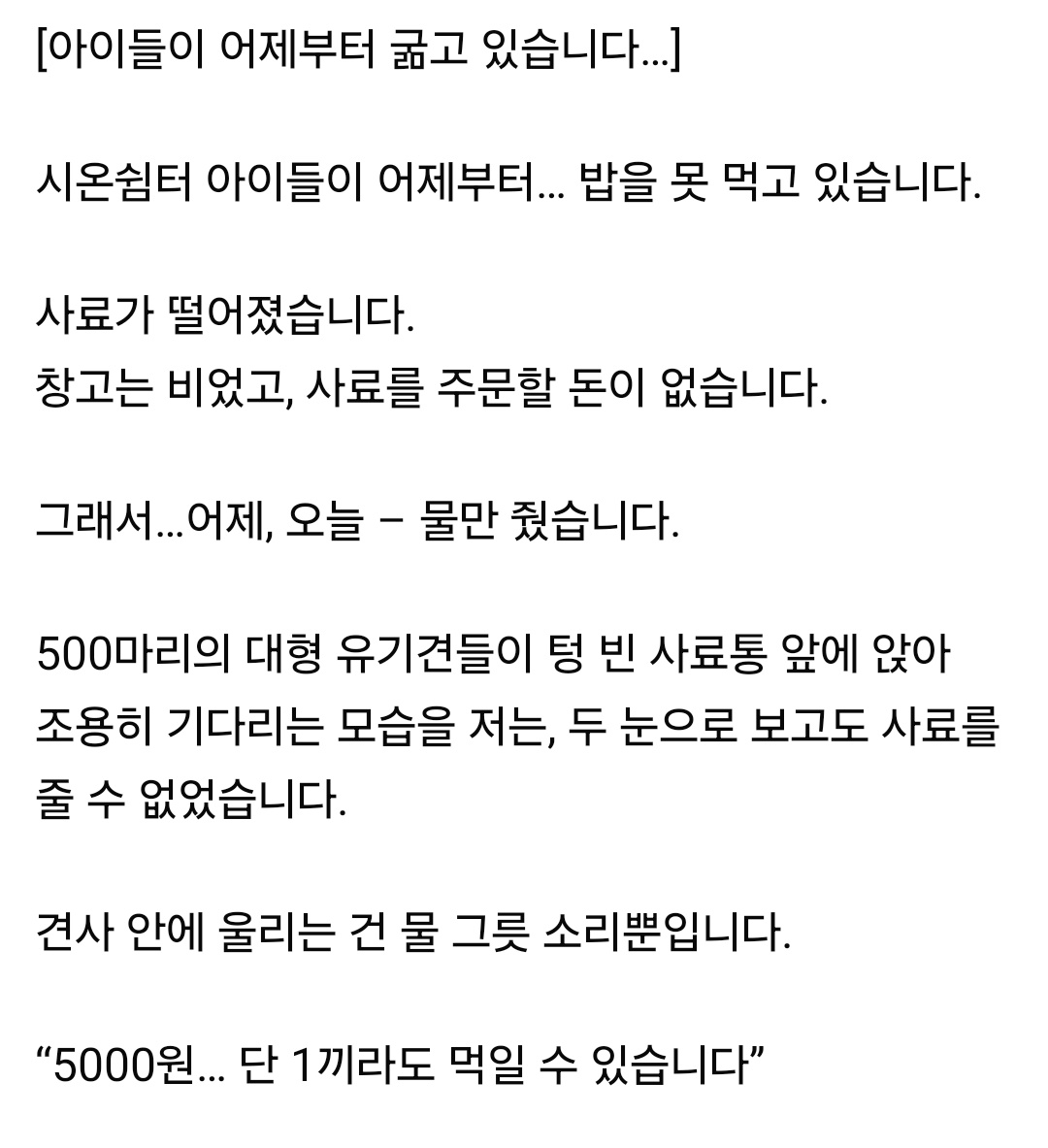 뿅 tweet media