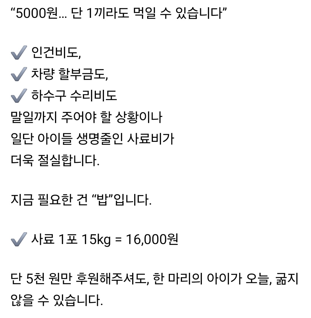 뿅 tweet media