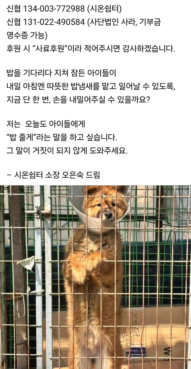 어려운 시국에 도움 요청 송구합니다.

시온쉼터 500마리 아이들이 어제부터 굶고 있습니다. 사료 후원해주실 수 있을까요? 

사료비 후원 신협 131422490584 사단법인 사라, 기부금 영수증 가능하다고 합니다.