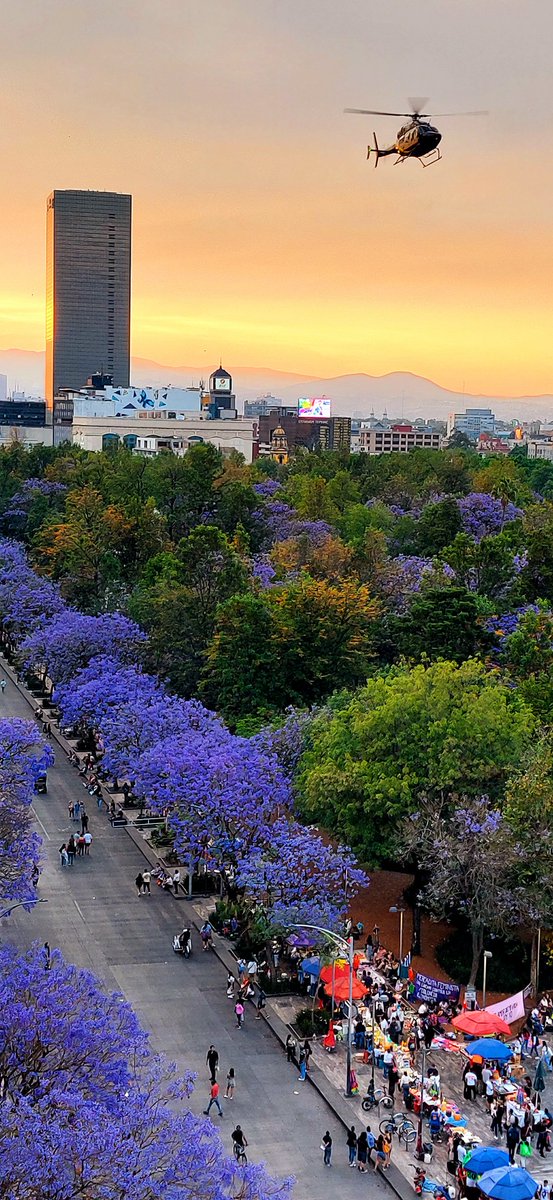 Ciudad de Mexico, piso 8 de la terraza del Sears café Finca don Porfirio.
19.434145,-99.141551
#JacarandaAzteca <a href="/RicardoBSalinas/">Don Ricardo Salinas Pliego</a> <a href="/JorgeNikaidoB/">Jorge Nikaido</a> <a href="/MLMSalinas/">María Laura Medina de Salinas</a>