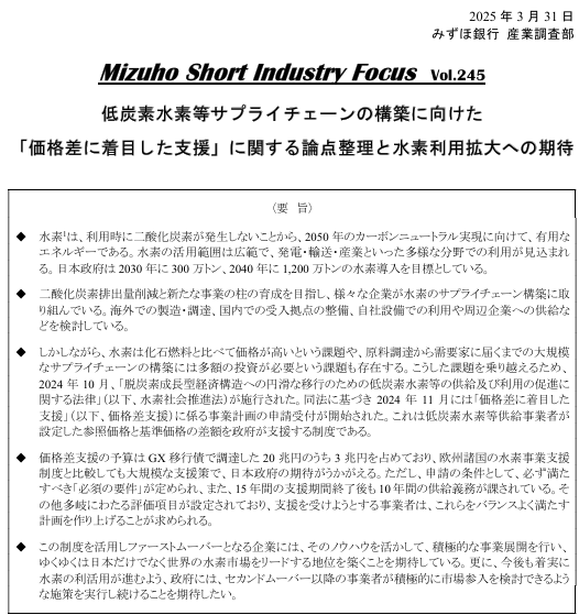 n出品　合格レポート　一括のため各300円 低炭素水素等サプライチェーンの構築に向けた「価格差に着目した支援