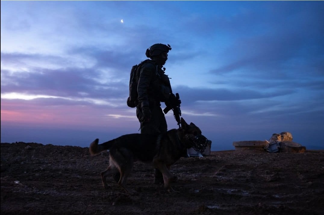 Good morning to our heroic fighters who protect us 24/7
Am Israel loves you and salutes you 🫡🇮🇱❤️