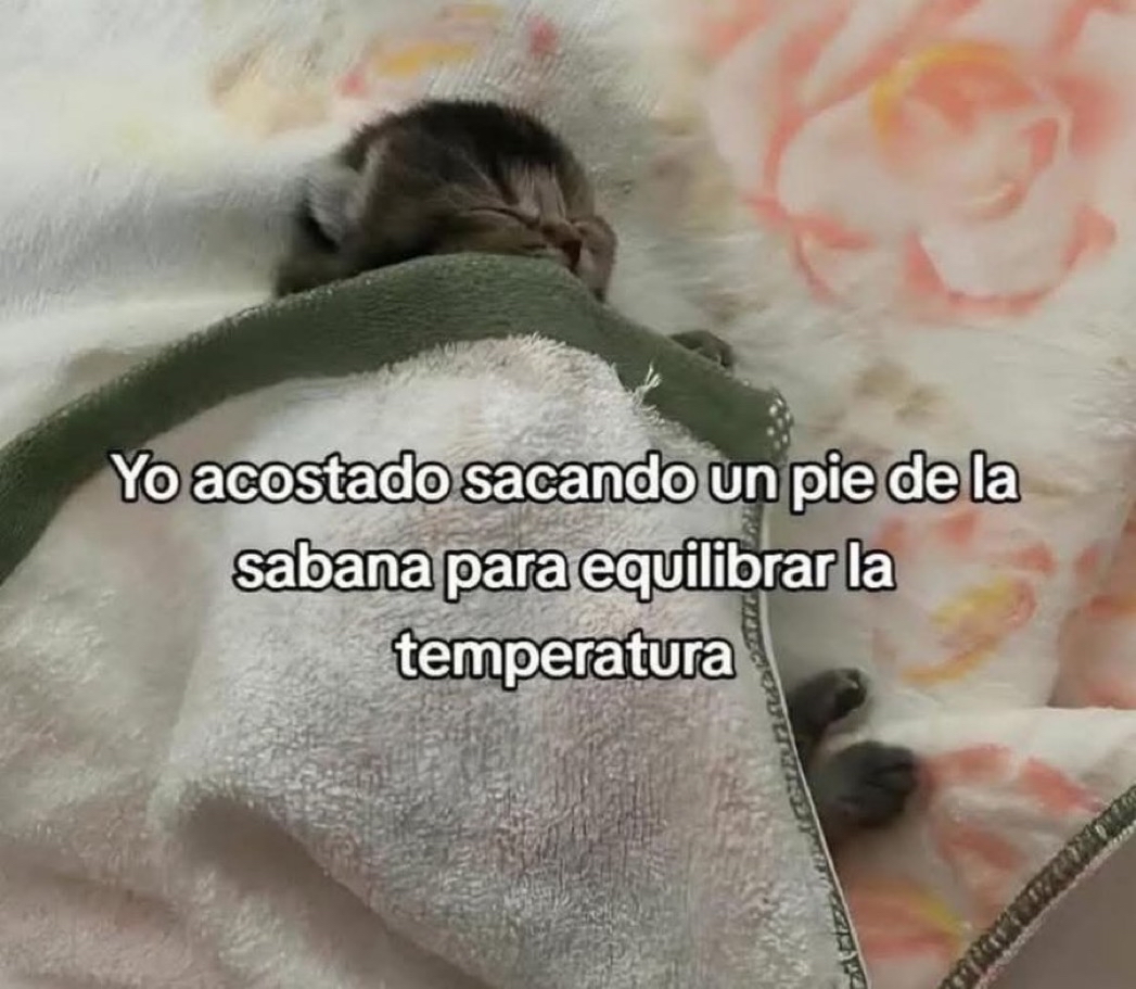 Asies.