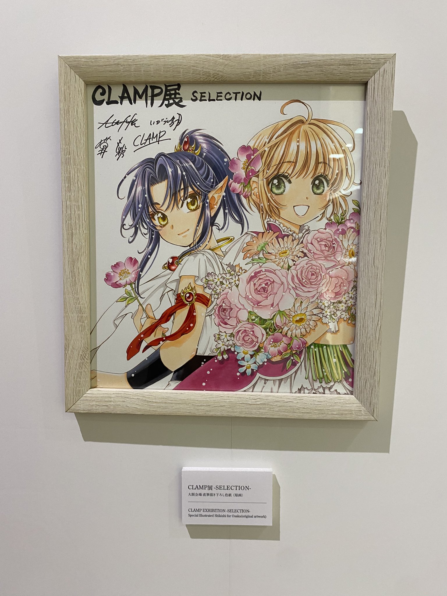 CLAMP展 - Search / X