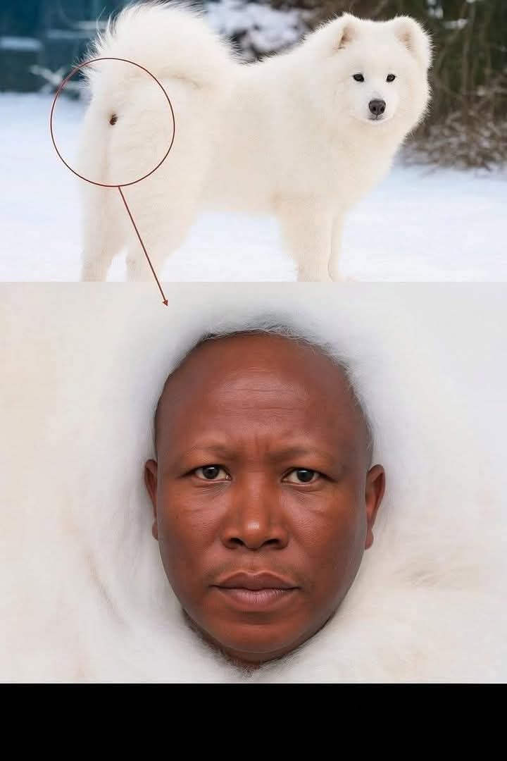 I suppose singing songs about wanting to kill me makes this okay? Freedom of expression?