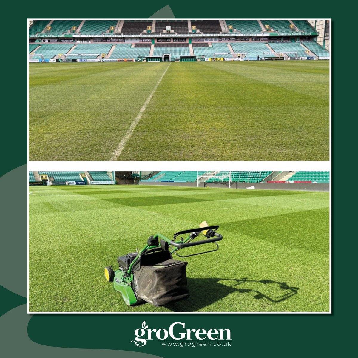 Quick and impressive results at Hibernian Football Club following the application of 60L Consolidate Plus and 1L Turf A.C.E! 🌱⚽

#supplyingresearchedsolutions