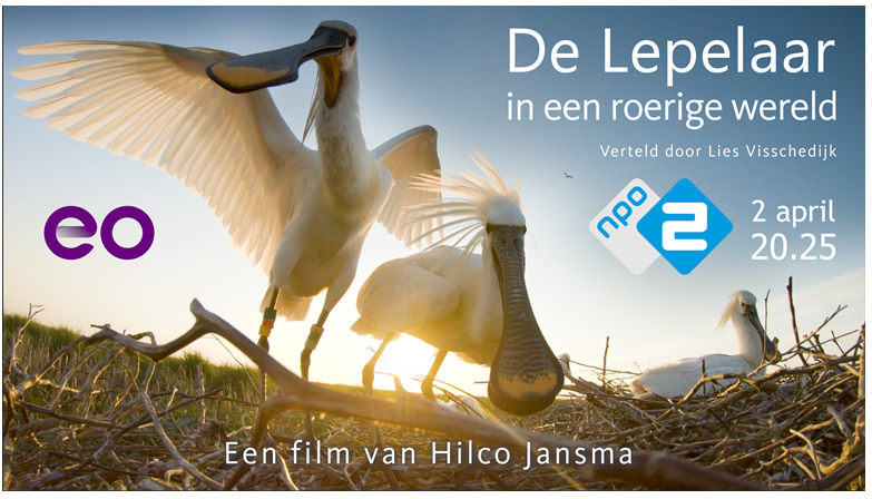 Netwerk Groeningen (@netgroeningen) on Twitter photo 