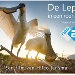 Photo by Netwerk Groeningen (@NetGroeningen)