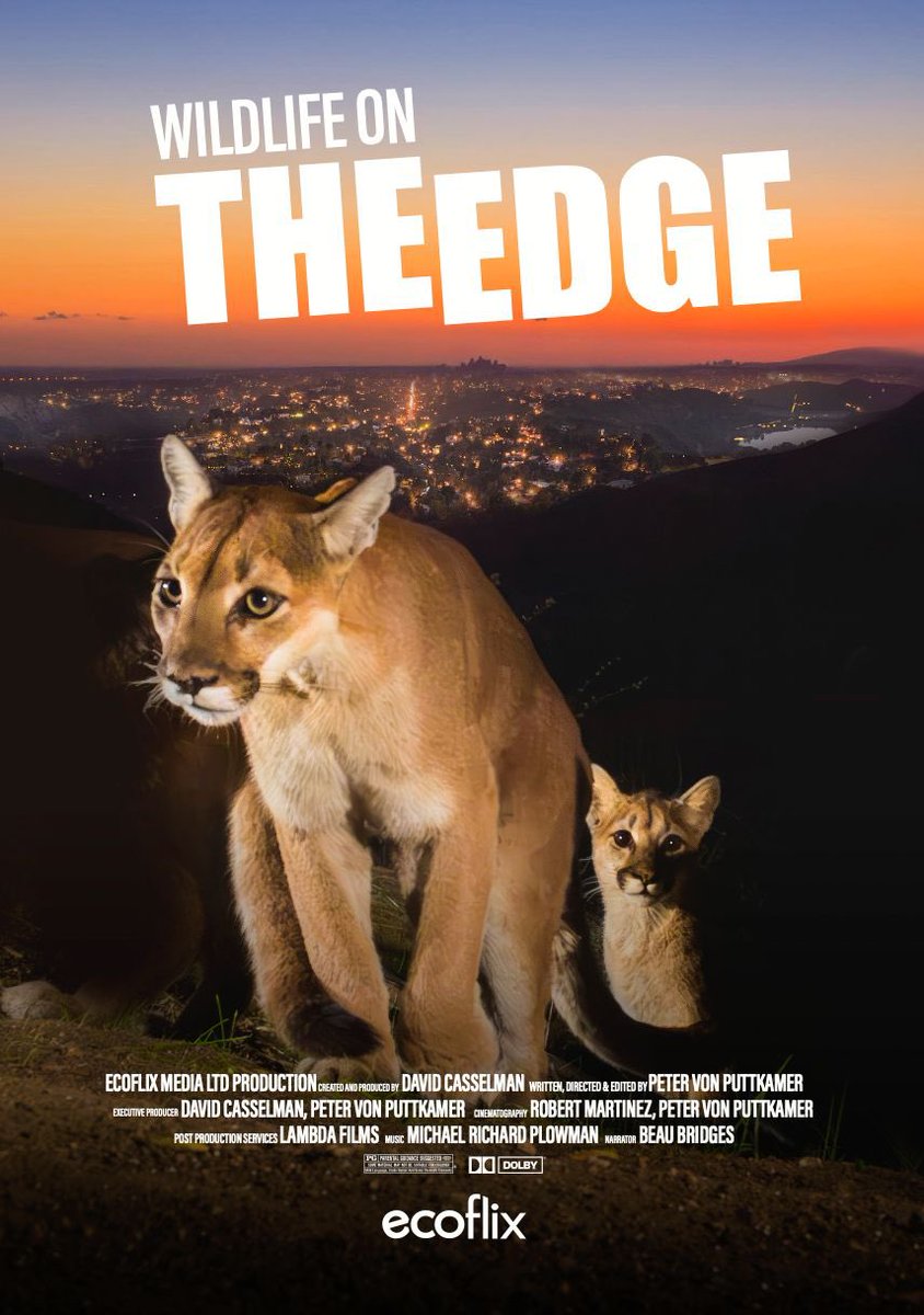 Ecoflix (@ecoflixofficial) on Twitter photo Live tomorrow on <a href="/PBSSoCal/">PBS SoCal (KOCE)</a>
TOMORROW Tues., April 1 at 7 p.m. on PBS SoCal Plus and Mon., April 28 at 3:30 p.m. on PBS with PBS SoCal 🎥
Other dates:
PBS SoCal
4/28 at 3:30pm
4/29 at 3am
PBS SoCal Plus (formerly KCET)
4/1 at 7pm
4/6 at 7pm
4/6 at 11pm
<a href="/WildlifeSOS/">Wildlife SOS</a> Live tomorrow on <a href="/PBSSoCal/">PBS SoCal (KOCE)</a>
TOMORROW Tues., April 1 at 7 p.m. on PBS SoCal Plus and Mon., April 28 at 3:30 p.m. on PBS with PBS SoCal 🎥
Other dates:
PBS SoCal
4/28 at 3:30pm
4/29 at 3am
PBS SoCal Plus (formerly KCET)
4/1 at 7pm
4/6 at 7pm
4/6 at 11pm
<a href="/WildlifeSOS/">Wildlife SOS</a>