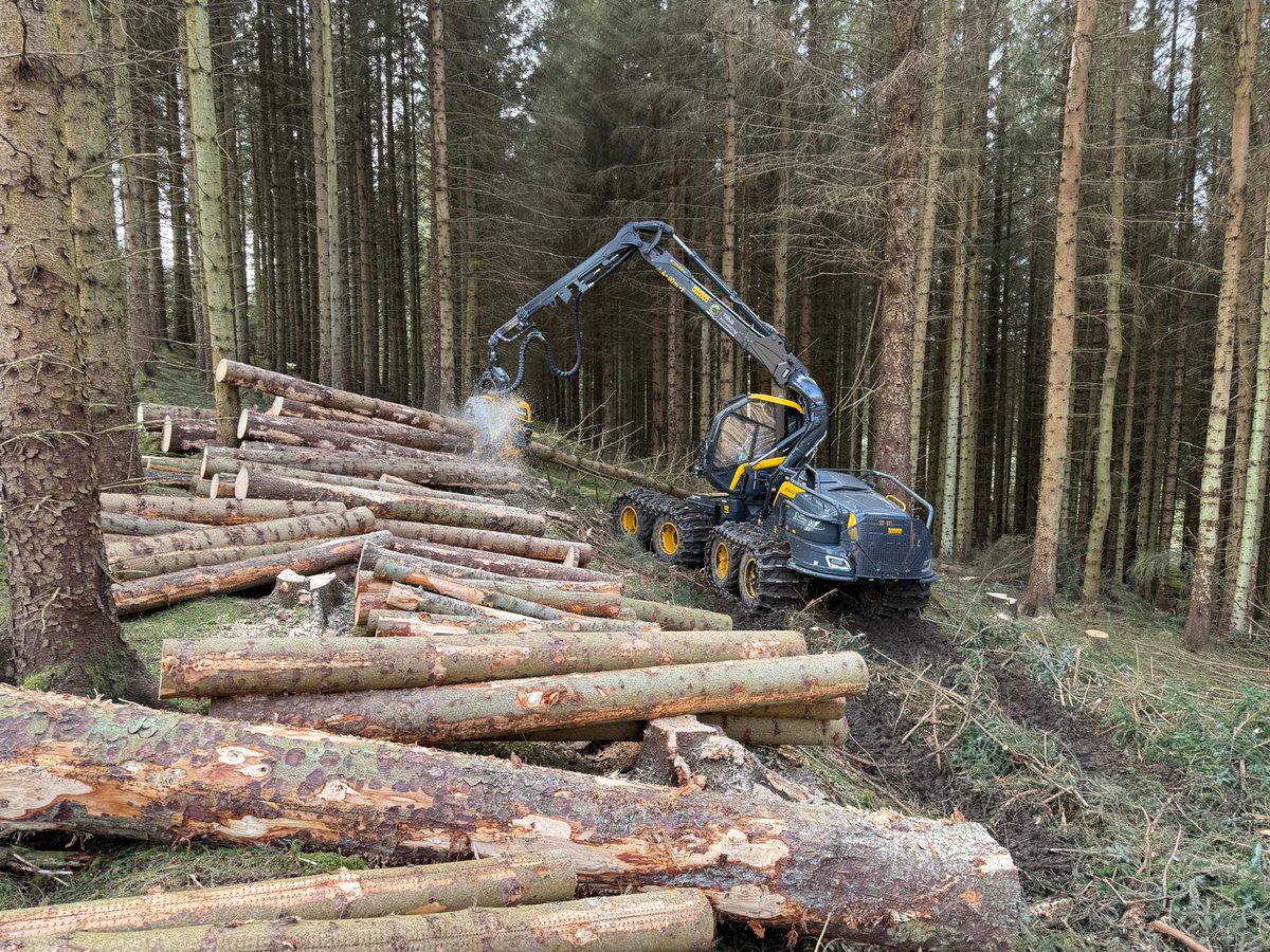 TilhillForestry's tweet photo. A Giant has landed! 💪

Our newest machine, the   Giant, has hit the ground in the Scottish Borders and is already making light work of heavy loads!

With its massive load capacity, smooth handling, and legendary durability, this forwarder is built for the toughest terrain. When it comes to shifting timber efficiently, the Giant lives up to its name!

#Tilhill #Forestry #Ponsse #Giant #LoggingLife #HeavyLifting #Timber #BuiltForTheJob 🚜🌲