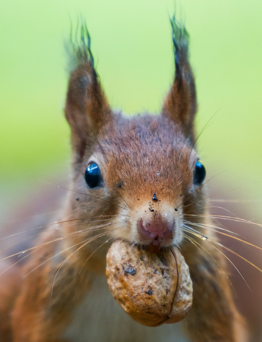 Spring is the perfect time for fresh ideas — and a fresh approach to marketing.

In a nutshell… we’re a B2B consultancy offering PR and market research for the medtech, bioscience and lab sectors.

#Marketing #PR #MedTech #LifeSciences #AccelerateAssociates