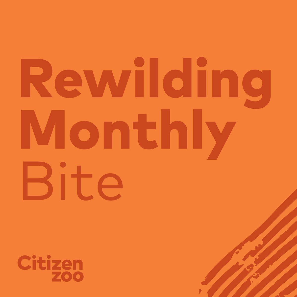 CitizenZoo's tweet photo. Here's to another fantastic start to the week! Sign-up to our newsletter to receive regular updates about what we've been up to, news about #rewilding and info on upcoming events &amp; talks! #conservationoptimism #citizenzoo 
https://t.co/PBnoufUuZ1 https://t.co/vf2w4H1YFi