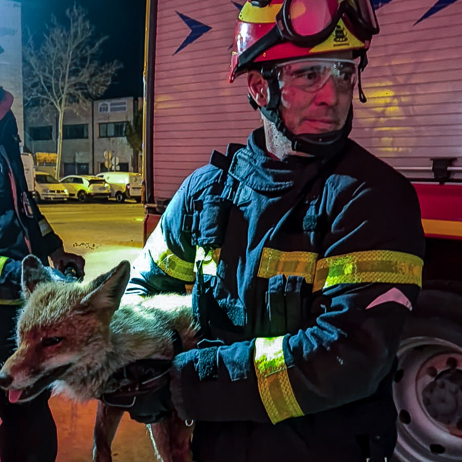 112 Comunidad de Madrid tweet media