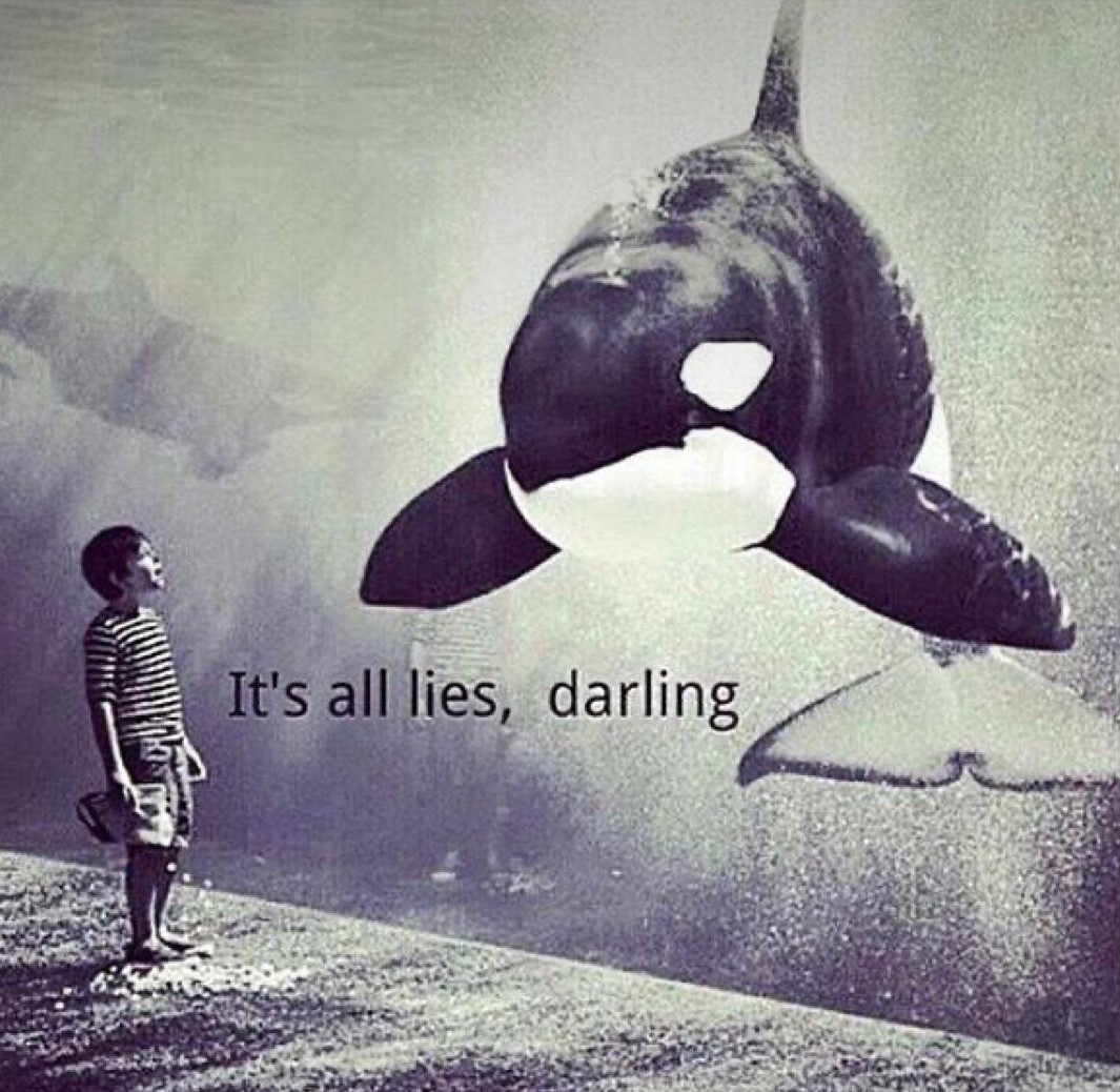 Sea Shepherd France mobilise 5 millions d’euros pour sauver les 14 cétacés du Marineland d’Antibes

Pétition à signer en commentaire

Lettre ouverte à la Ministre <a href="/AgnesRunacher/">Agnès Pannier-Runacher 🇫🇷🇪🇺</a> 
– Par <a href="/LamyaEssemlali/">Lamya Essemlali</a>, Présidente Sea Shepherd France

Madame la Ministre, deux mois avant