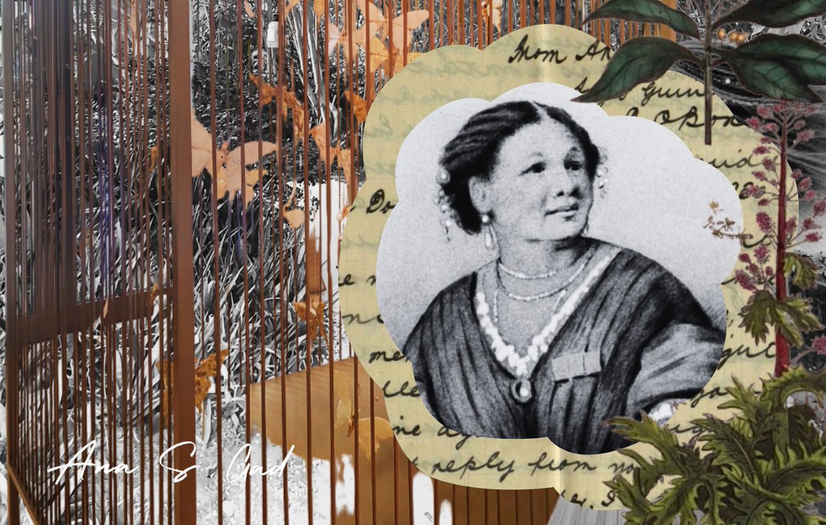 The year 2025 marks the 220th anniversary of the birth of #MarySeacole, a woman who forever changed the perception of humanitarian work and medical care. She became a symbol of humanity through her courageous deeds and unwavering spirit. Learn more➡️ bit.ly/4iRE5Y9