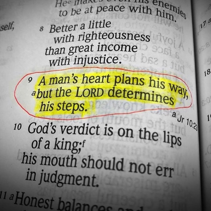 Bible 365 tweet media