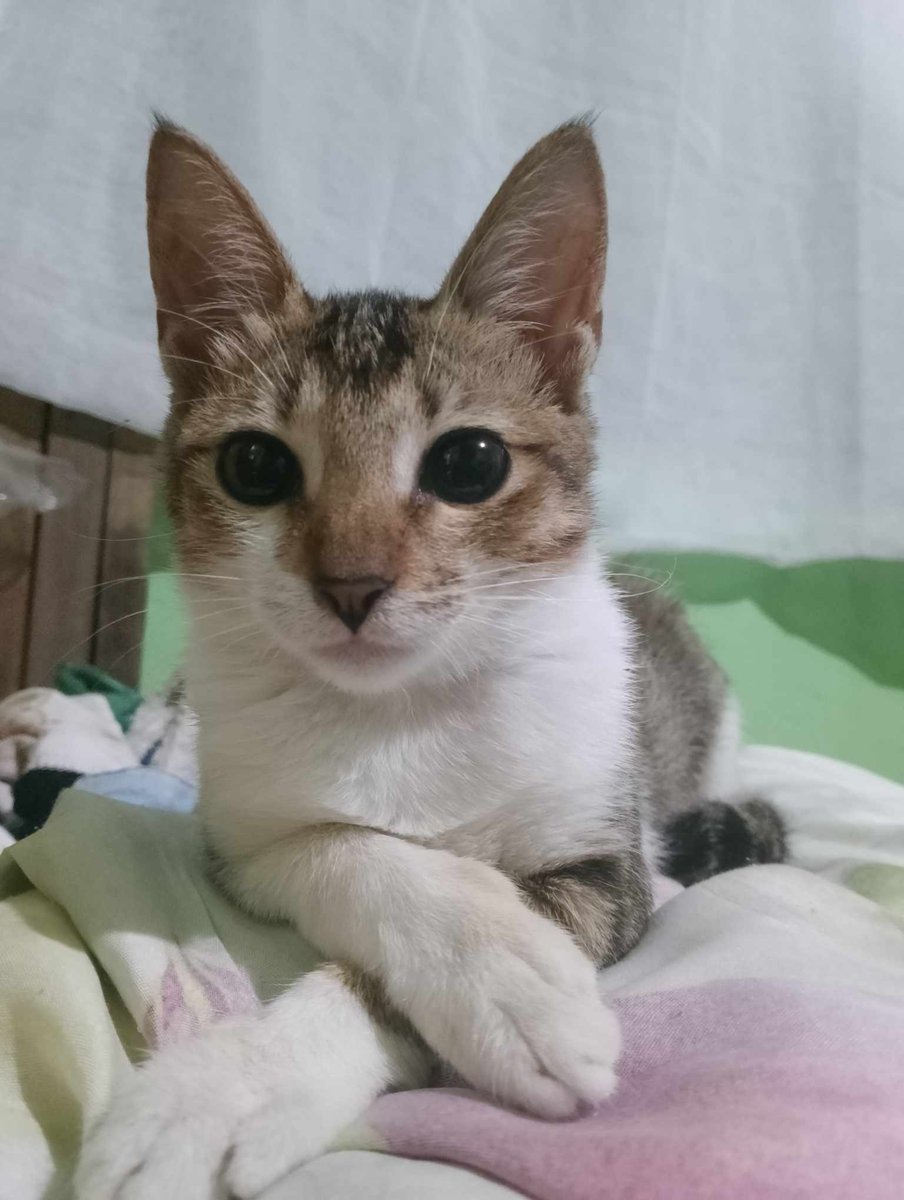 MINARIHWASA's tweet image. What should I call her @bini_jhoanna?