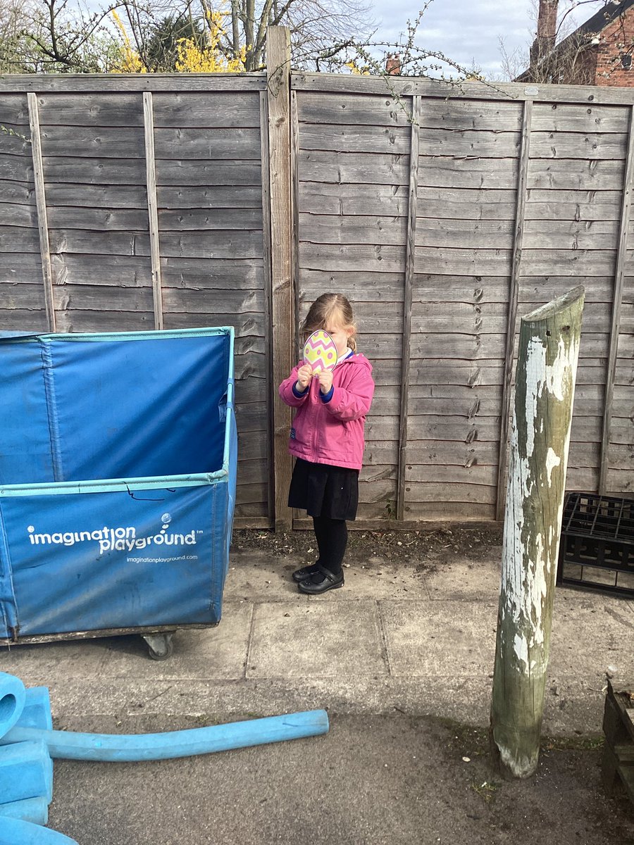 Tang Hall Goldcrests tweet media