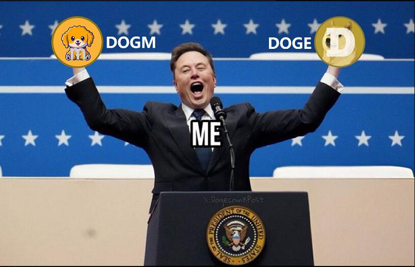 Dogecoin and Dogmcoin News tweet media