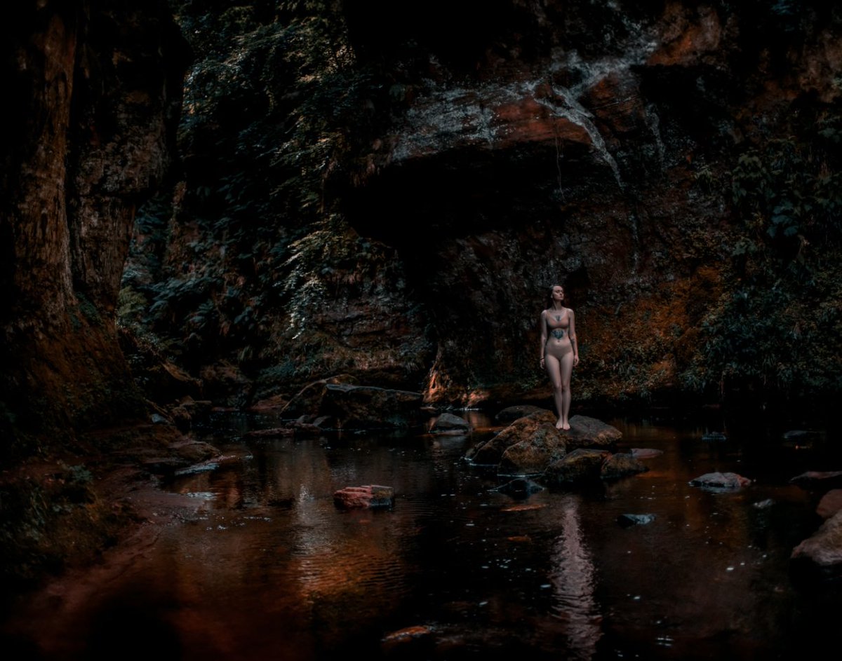 I.am.Bambii 🦌 tweet media