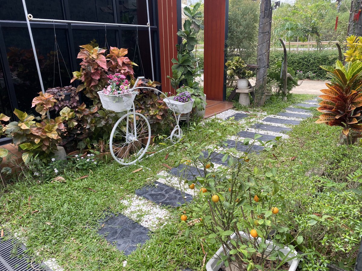 bbinbub's tweet image. Cafe’ Lover