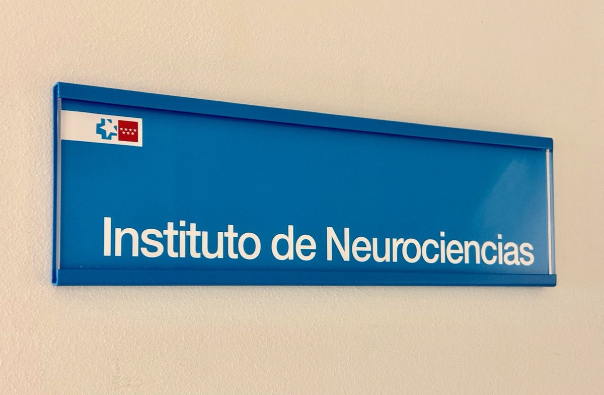 David Pérez Martínez (@daperezm) on Twitter photo Inauguro nueva etapa profesional al frente del Instituto de Neurociencias de <a href="/H12Octubre/">Hospital Universitario 12 de Octubre</a> Con la responsabilidad de impulsar una visión integradora y transformadora del área de neurociencias del hospital, y agradecido a la dirección por la confianza y la valentía por la apuesta. Inauguro nueva etapa profesional al frente del Instituto de Neurociencias de <a href="/H12Octubre/">Hospital Universitario 12 de Octubre</a> Con la responsabilidad de impulsar una visión integradora y transformadora del área de neurociencias del hospital, y agradecido a la dirección por la confianza y la valentía por la apuesta.