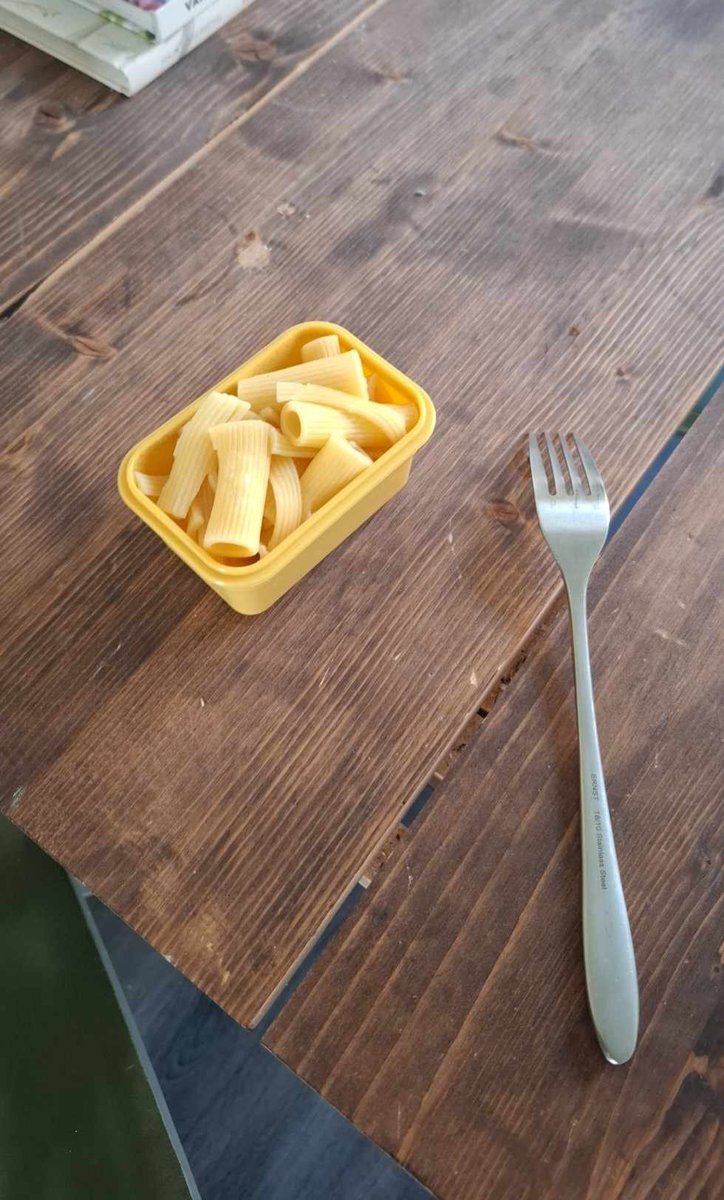 hejhaters's tweet photo. min flickvän sa att det finns en matlåda med pasta i kylen om jag vill ha lunch

matlådan: https://t.co/gXQAToDqK8