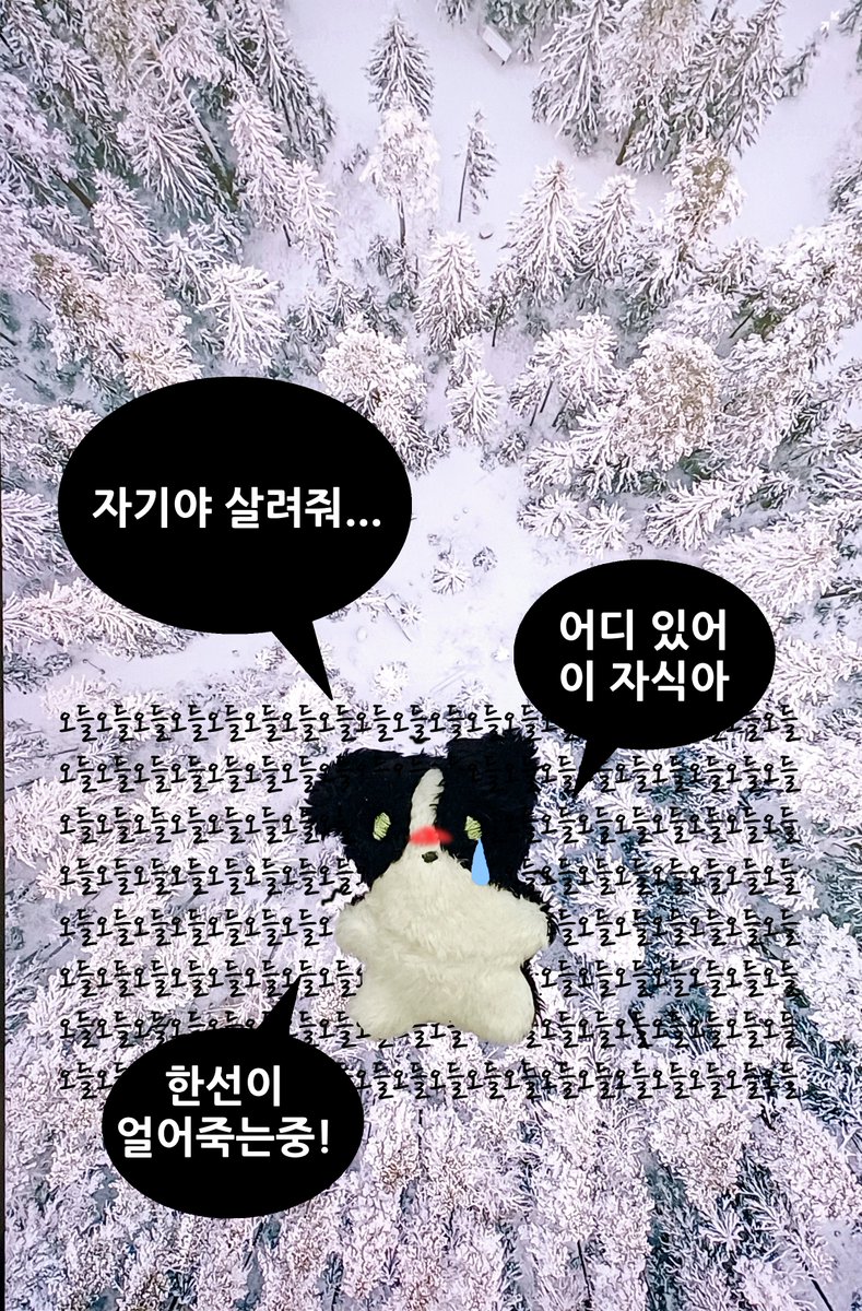 이번에는 연재를 하지 않아 어떤 내용인지 궁금하신 분들을 위해 조금 스포해 보겠습니다 ^~^
신비주의 박쥐와 고생많은 보더콜리!

귀여운 인형은 사유월(<a href="/lovely_june_6/">사유월</a>) 작가님이 만들어주셨어요 흑흑 너무 귀여워엇ㅠ.ㅠ!!!!! 최고의 아티스트 사유월이셔요ㅠ.ㅠ!!!!!!!