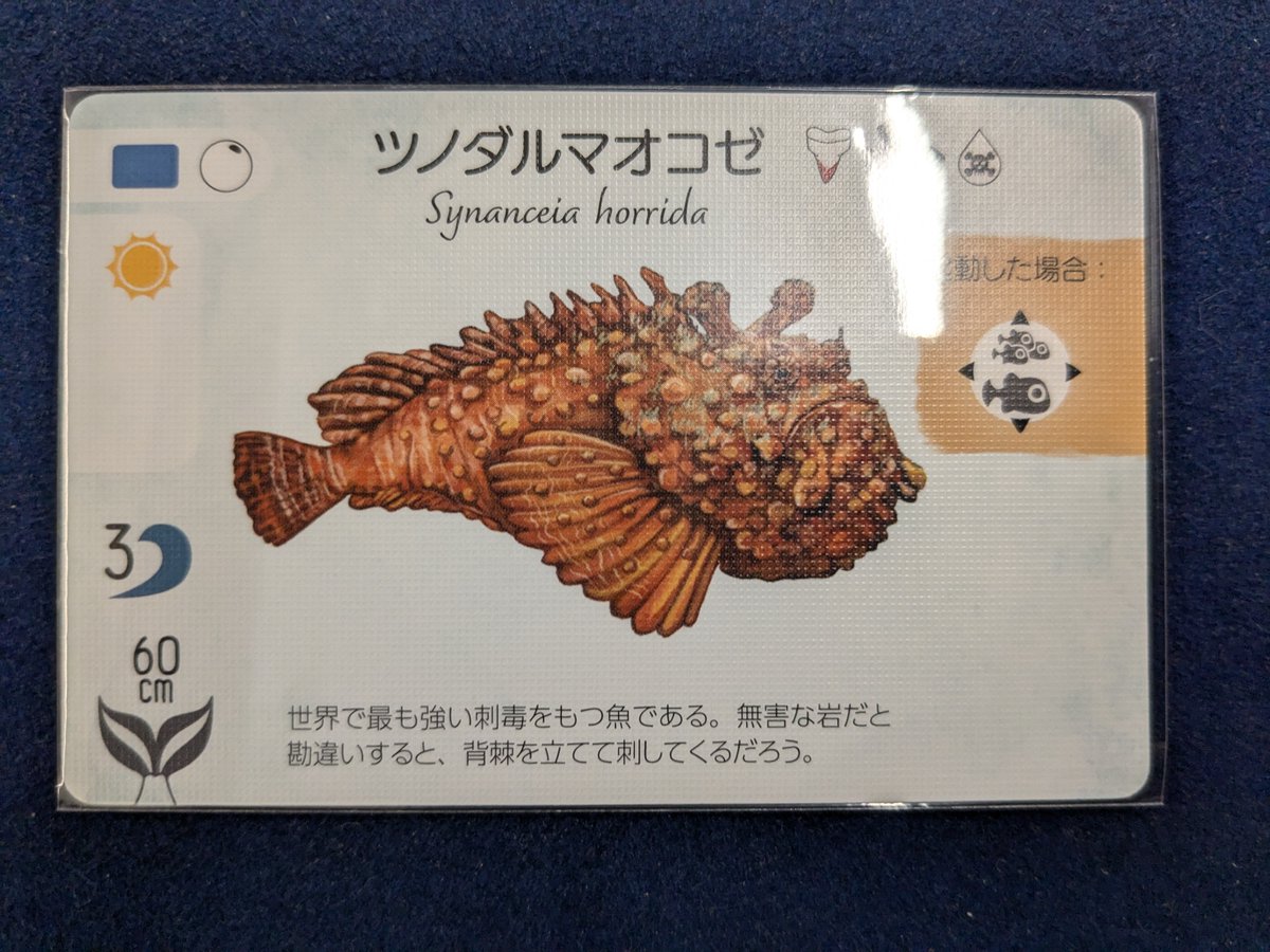 魚のおふだ オオクチホシエソくんやんかぁー！ 魚カード眺めてるだけで楽しそうだ