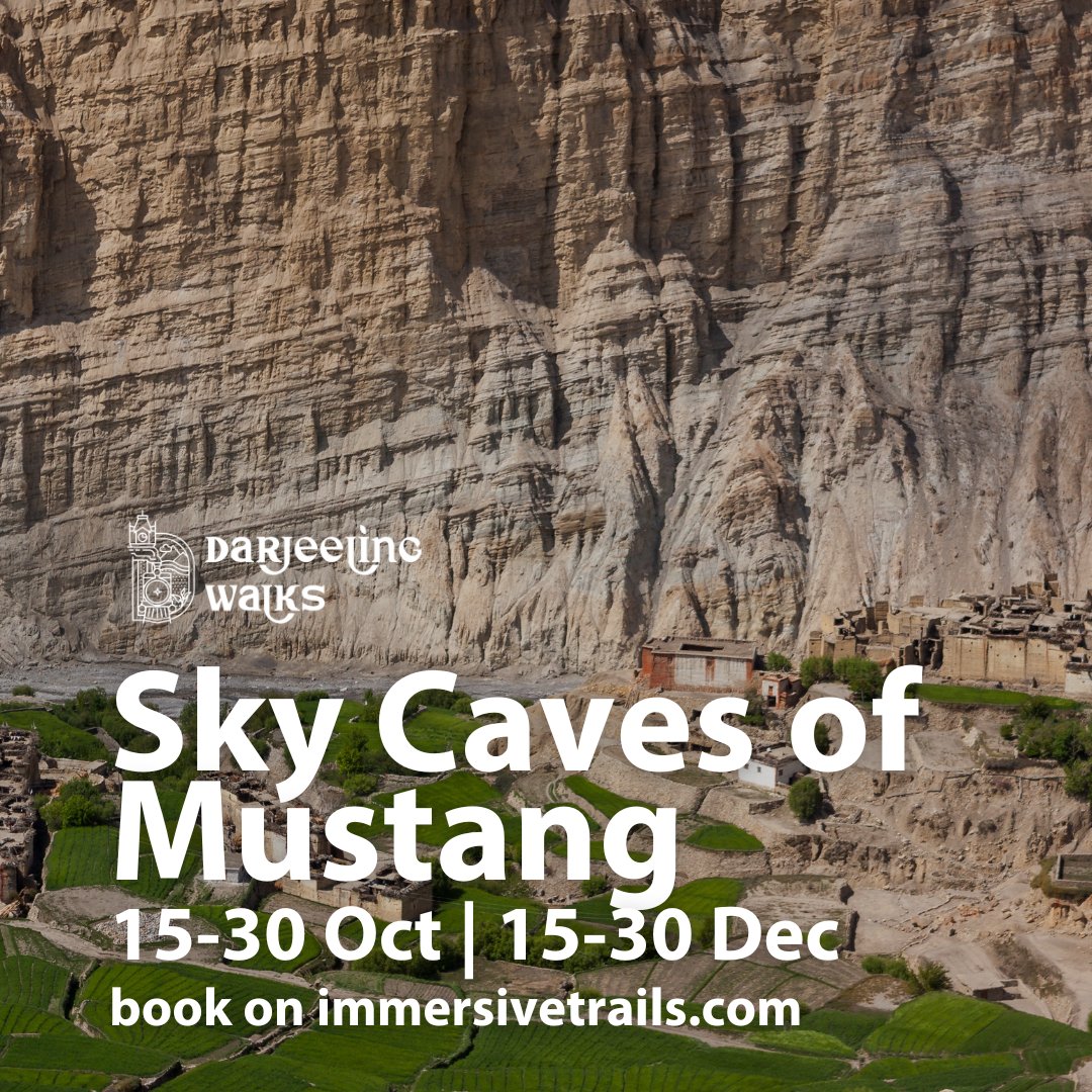 Immersive Trails tweet media