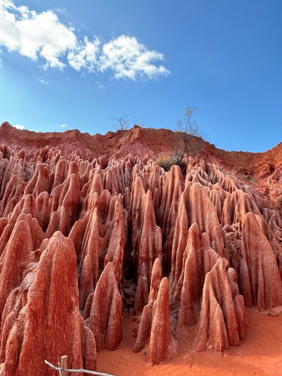 外務省やわらかポスト tweet media