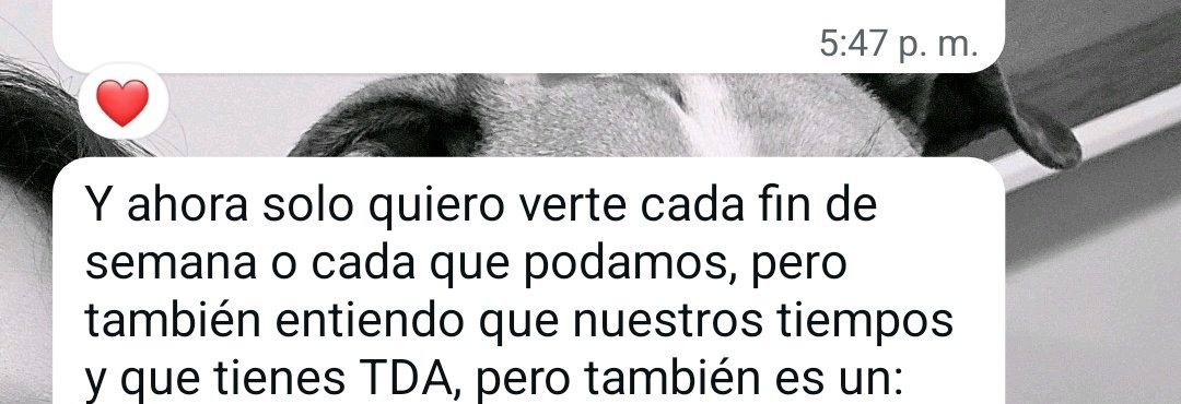 karanpoles's tweet photo. No pos gracias jajajaja https://t.co/3hteimgOsu