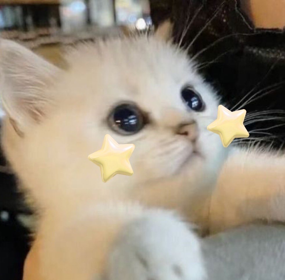 รูปสุดท้ายส่งให้แม่แม่ซะหน่อย👼🏻🐈⭐️