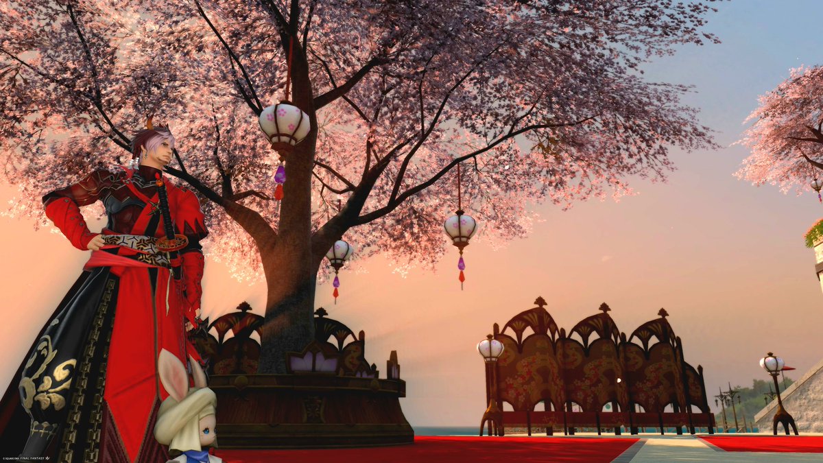 花見しましたか？
#メンテだしとにかくあなたのssが好きって思ってくれるひとと出逢うために自分の推しssをそっと置いておく
#FF14
#FF14SS
#FF14フレンド募集中