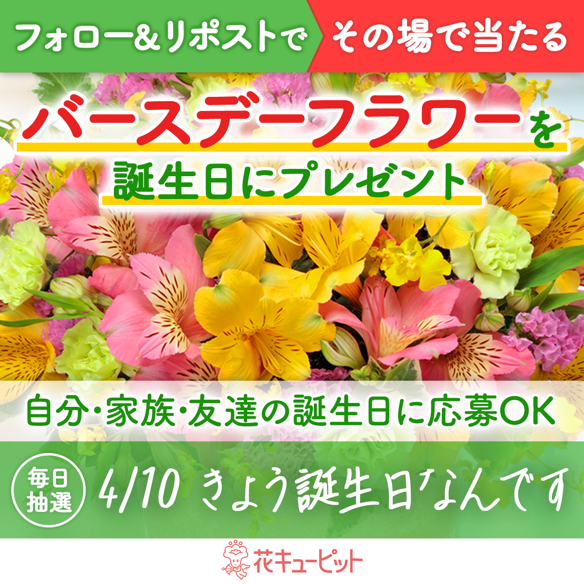 i8791's tweet photo. ／
フォロー＆リポストキャンペーン
その場で当選！お花プレゼント🌸
＼
#きょう誕生日なんです 🎉
#花キューピット が当日配達でお祝い

🎁毎日抽選🎁
1️⃣@i8791をフォロー
2️⃣4/10 10:00迄に本投稿をリポスト
当選者に即DM😊
昼12時までに贈り先を入力✍
https://t.co/7EiVkPAJiq https://t.co/n9PkZkoMpn