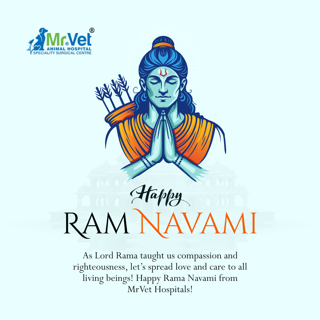 mrvethospital's tweet photo. As Lorrd Rama taught us compassion and rightcousness, let's spread love and care to all livivng benings! Happy Rama Navami from MrVet Hospitals!

Call 📞 96767 55544  or visit us. https://t.co/xnBVkovp53
#petcareservices #veterinary #VeterinaryCare #veterinaryclinic #ramanavami https://t.co/g6cDzQKaP7
