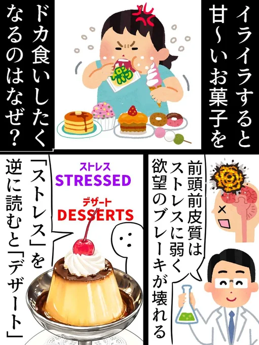 理系と文系の答えの違い(再掲載) 