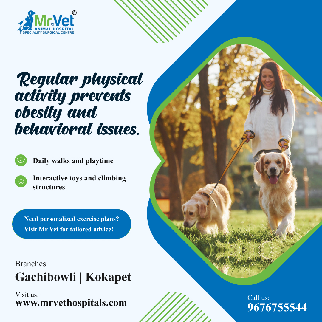 mrvethospital's tweet photo. Regular physical activity prevents obesity and behavioral issues.

Need personalized exercise plans? Visit Mr Vet for tailored advice!

Call 📞 96767 55544  or visit us. https://t.co/xnBVkovWUB
#petcare #PetCareServices #veterinary #VeterinaryCare #veterinaryclinic https://t.co/Cc8YXrFBgy