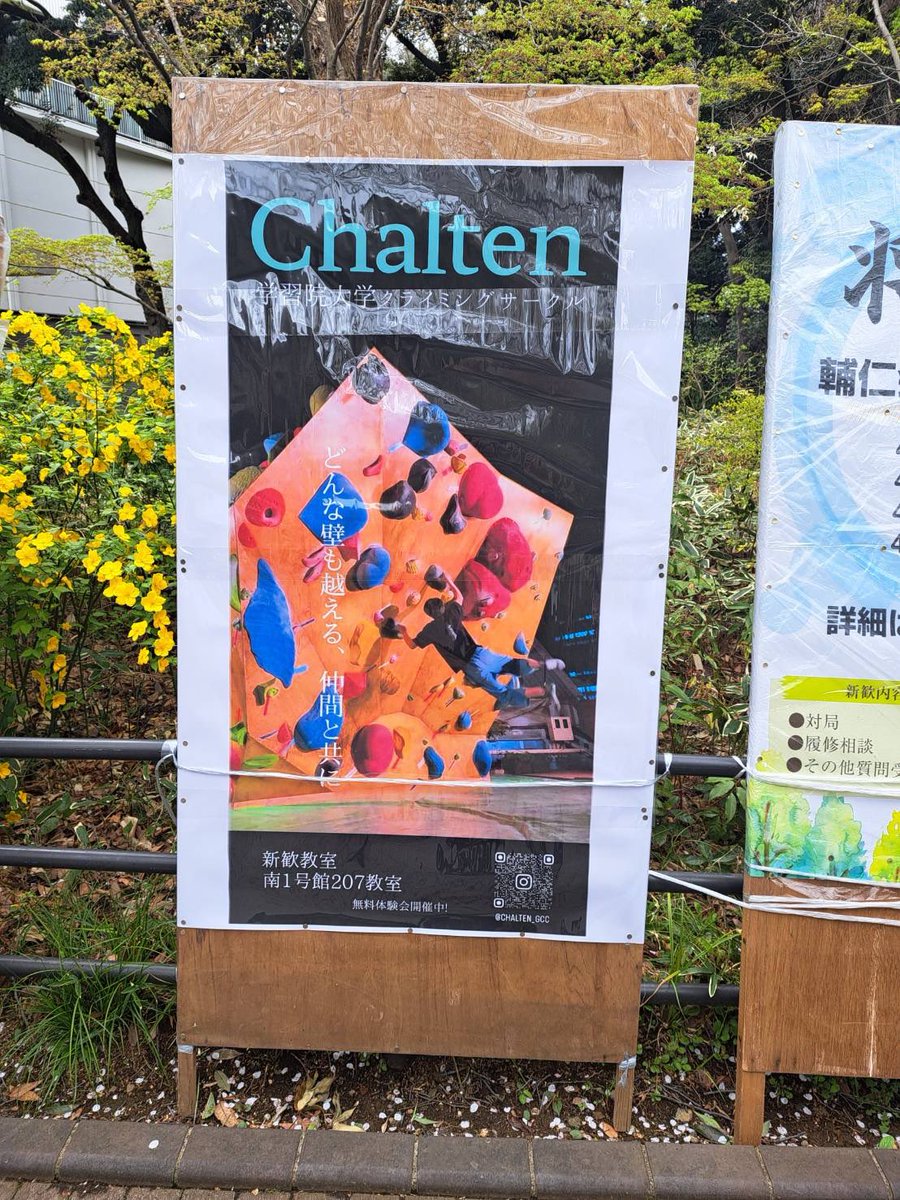 chalten_gcc's tweet image. みなさんこんにちは！学習院大学スポーツクライミング愛好会Chaltenです！

立て看板の設置が完了しました〜✨️
Chaltenが立て看板を建てるのは史上初です！
歴史的瞬間ですね😼

新歓教室は南1号館207教室です！
新入生みなさん是非お越しください！

 #春から学習院  #春からgwu