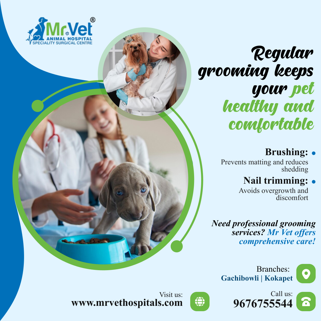 mrvethospital's tweet photo. Regular grooming keeps your pet healthy and comfortable.
Book your consultation today!
Call 📞 96767 55544  or visit us. https://t.co/xnBVkovp53
#PetCareServices #petcaretips #petcareservices #petcareprofessionals #petcareprovider #veterinary #VeterinaryCare #veterinaryclinic https://t.co/6qs4AkMHfc